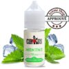 MENTHE CHLORO 30 ML - ARÔME CONCENTRÉ