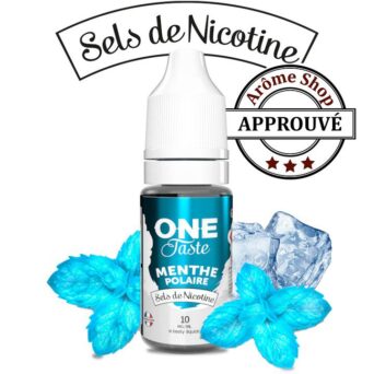 MENTHE POLAIRE SEL DE NICOTINE