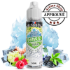 SIKO EXTRA FRAIS 50 ML - BANKIZ By E- TASTY