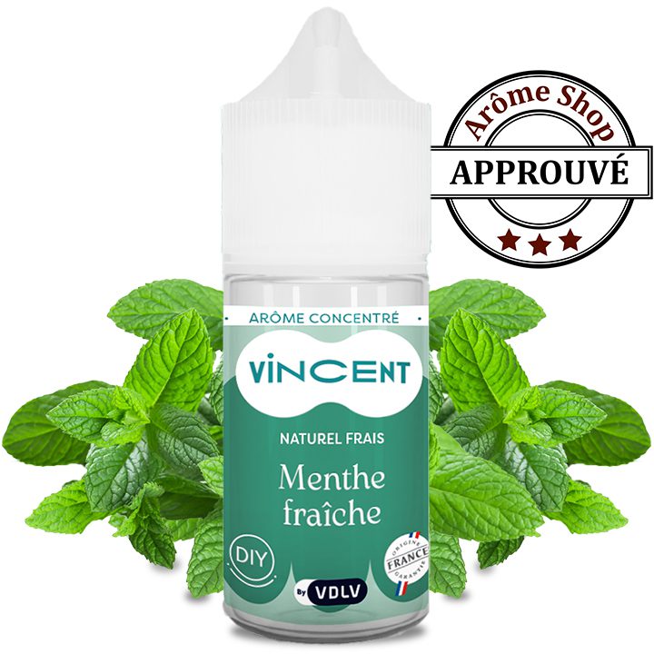 MENTHE FRAÎCHE 30 ML ARÔME CONCENTRÉ DIY VDLV MENTHE 💨