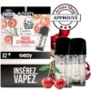 ROUGE D'EMBARRAS EASY CUEILLETTE DE LOUISE E-TASTY💨