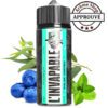 POLAR VORTEX 100ML | INVAPABLE By VAPE 47 | E.LIQUIDE 💨