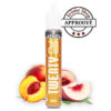 DOUBLE PÊCHE 20 ML TWENTY By E TASTY E-LIQUIDE 💨