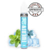 MENTHE POLAIRE 20ML TWENTY By E TASTY E-LIQUIDE 💨