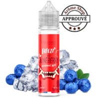 Liquideo Freeze Ice Junberry e-liquid bottle surrounded by blueberries and ice, with an APPROUVÉ stamp in the corner.
