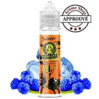 Orange e-liquid bottle labeled 'Space Cowboy' with alien rider and bull, set among blue blueberries and ice in the background, and an 'Approved' stamp nearby. SPACE COWBOY FRAMBOISE BLEUE SPACERZ by LIQUIDEO