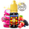 DRAGONDOR SALT NIC HOUSE OF MAGIC By E TASTY 💨